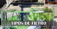Cuantos tipos de filtro de acuario
